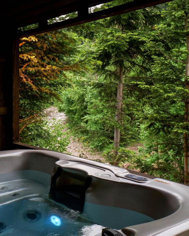 Novosiele Residence - Nad Gorska Rzeka - Lesne Spa Sauna Jacuzzi - Bieszczady Bystre  Dış mekan fotoğraf
