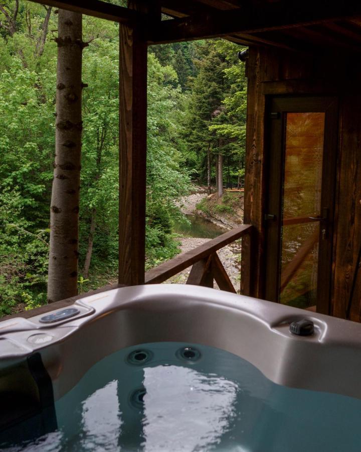 Novosiele Residence - Nad Gorska Rzeka - Lesne Spa Sauna Jacuzzi - Bieszczady Bystre  Dış mekan fotoğraf