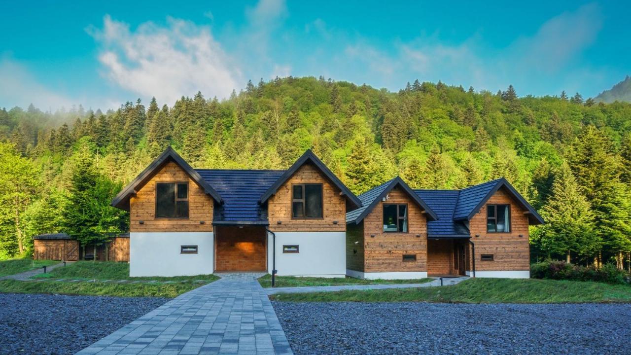 Novosiele Residence - Nad Gorska Rzeka - Lesne Spa Sauna Jacuzzi - Bieszczady Bystre  Dış mekan fotoğraf