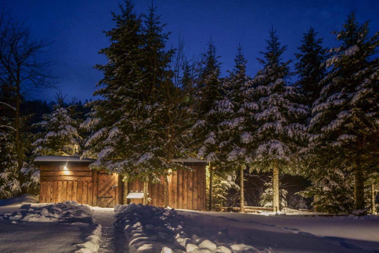 Novosiele Residence - Nad Gorska Rzeka - Lesne Spa Sauna Jacuzzi - Bieszczady Bystre  Dış mekan fotoğraf