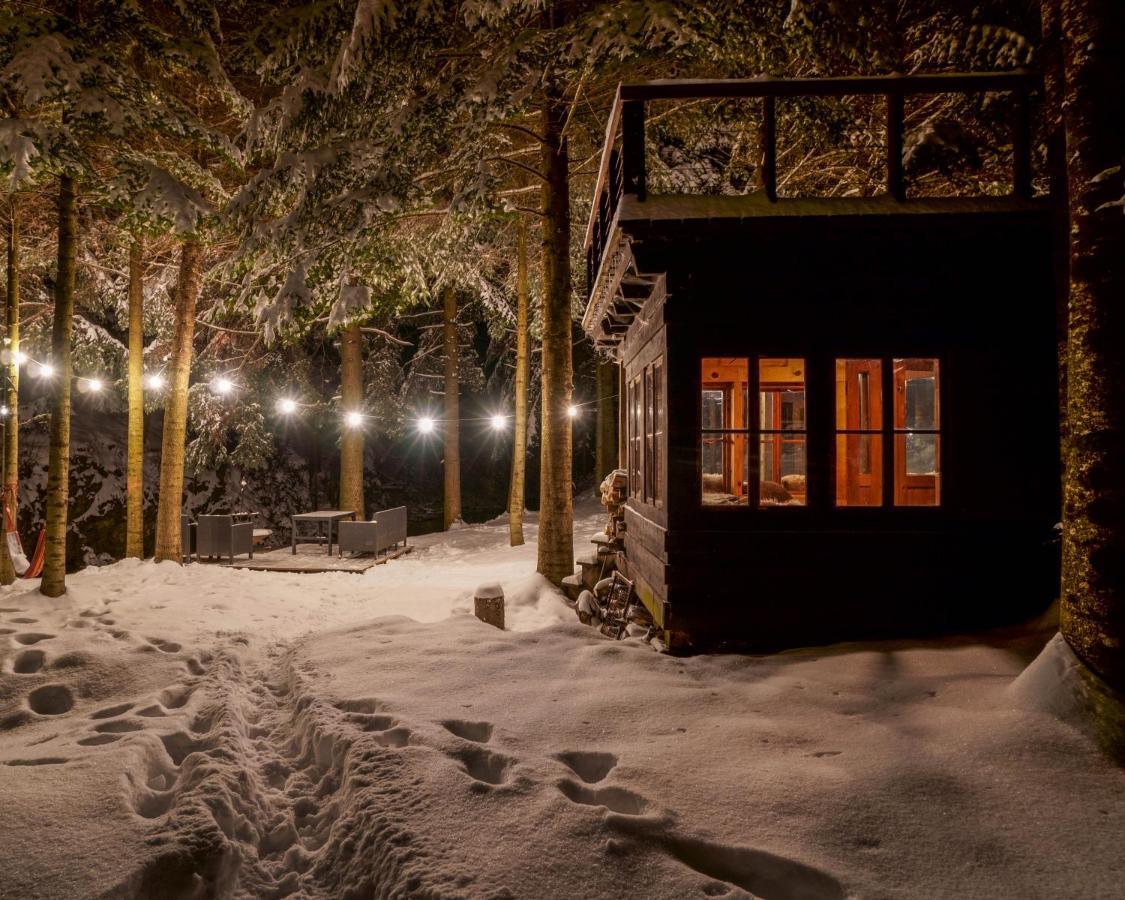 Novosiele Residence - Nad Gorska Rzeka - Lesne Spa Sauna Jacuzzi - Bieszczady Bystre  Dış mekan fotoğraf